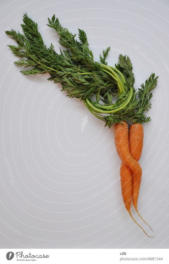Rohkost für Fortgeschrittene | Bundmöhren | junges Gemüse | biologisch-dynamisch | frisch & knackig Karotten Möhren Karotten mit Grün gesund zart reif