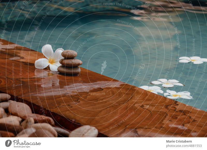 Stapel flacher Steine mit einer Frangipani-Blume neben einem Schwimmbad Wellness Spa Freizeit Urlaub Feiertag Sommer Lifestyle Textfreiraum Meditation