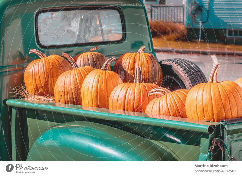 Kürbisse auf der Ladefläche eines Oldtimers Herbst Kürbispflaster Vektor Oldtimer-Lkw Design Bauernhof altehrwürdig fallen Lebensmittel Gemüse Ernte Oktober