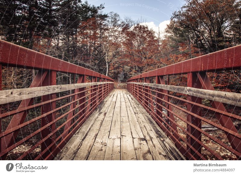 Brücke mit rostigem Geländer im Acadia National Park, Maine weitergeben Acadia-Nationalpark braun orange Landschaft Herbst Laubwerk Natur grün Holz fallen