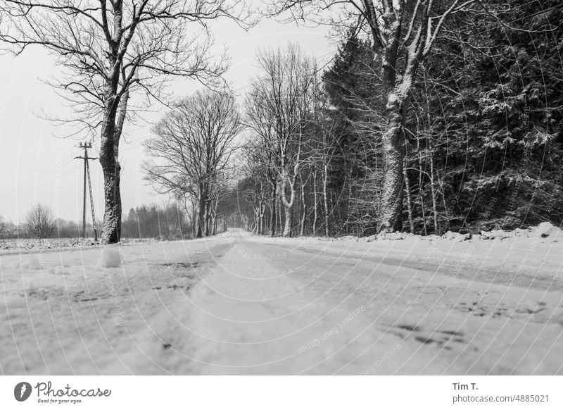 Winterstraße Schnee Straße Landschaft s/w bnw Schwarzweißfoto Außenaufnahme Tag Menschenleer Polen