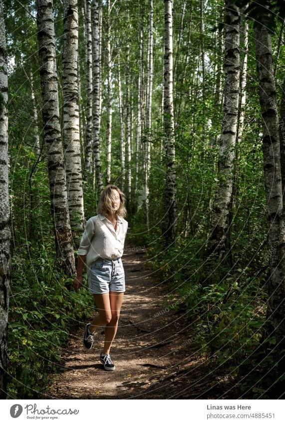 Birken und ein blondes Mädchen in kurzen Hosen und weißem Hemd. Mit ihren wunderschönen langen Beinen rennt sie durch diesen Wald. Sie genießt den Sommer und die Sonne. Litauische Wälder erkunden.