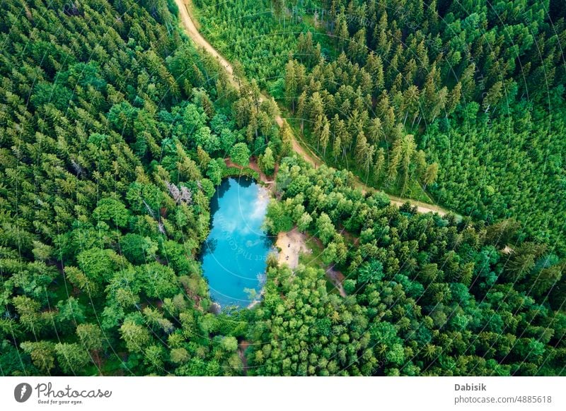 Luftaufnahme eines blau gefärbten Waldsees in Polen blauer See Antenne grün Teich farbenfroh Ansicht oben Top Wasser Herz wild Farbe Erholung Berge u. Gebirge