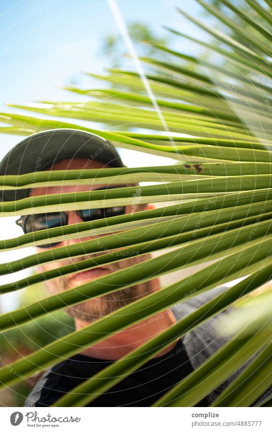 Spanner im Urlaub schauen beobachten Dedektiv Beobachtung glotzen verstecken Versteck Mann inkognito anonym Anonymität Palme Sicherheit Kriminalität Verbrechen