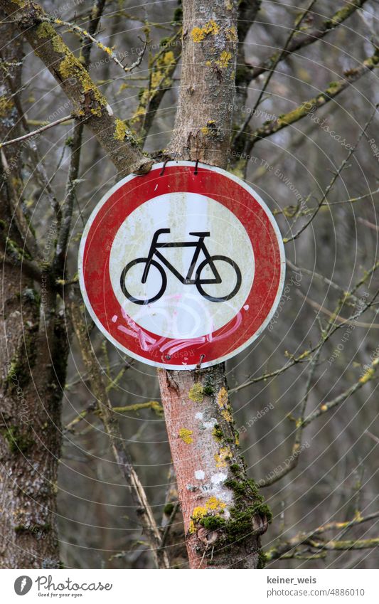 Fahrradfahren im Wald verboten fahrradfahren Fahrradverbot Verkehrsschild Verkehrszeichen Verbot Radfahrer Schild Piktogramm Verkehrssignal Baum Natur