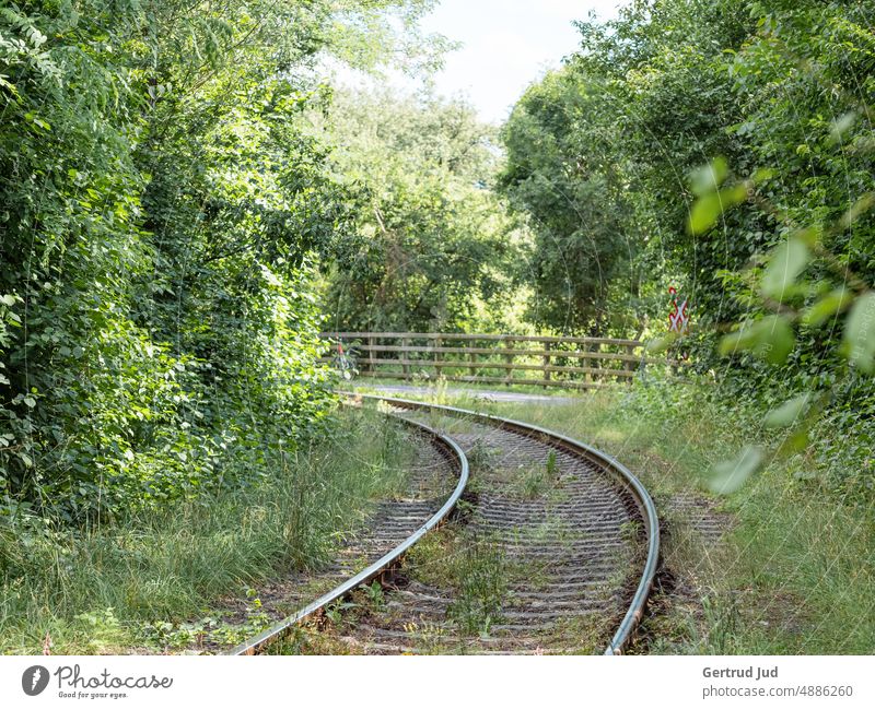 Bahngleis führt durch grüne Landschaft Blume Blumen und Pflanzen Natur Sommer Grünfläche natürlich Wildnis wildlife Schiene Schienen Schienenverkehr