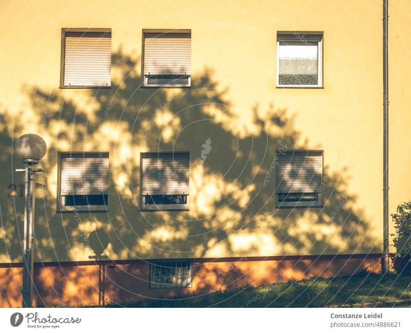 Schatten eines Baumes auf gelber Hausfassade mit Fenstern und Straßenlaterne. Licht Außenaufnahme Architektur Gebäude Mauer Wand Fensterladen Fassade
