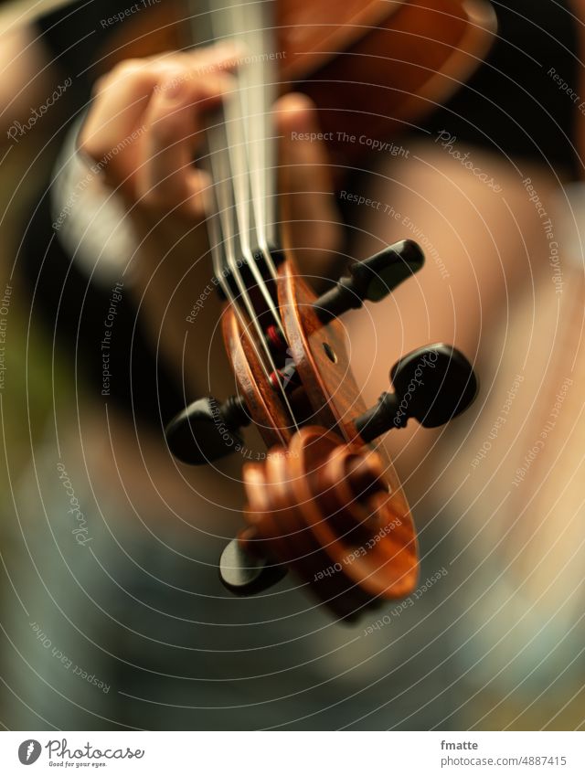 Geige mit Hand Geigerin Bratsche Konzert Musik Klassik klassisch Musikinstrument Orchester Saite musizieren Detailaufnahme Streichinstrumente Musiker Licht