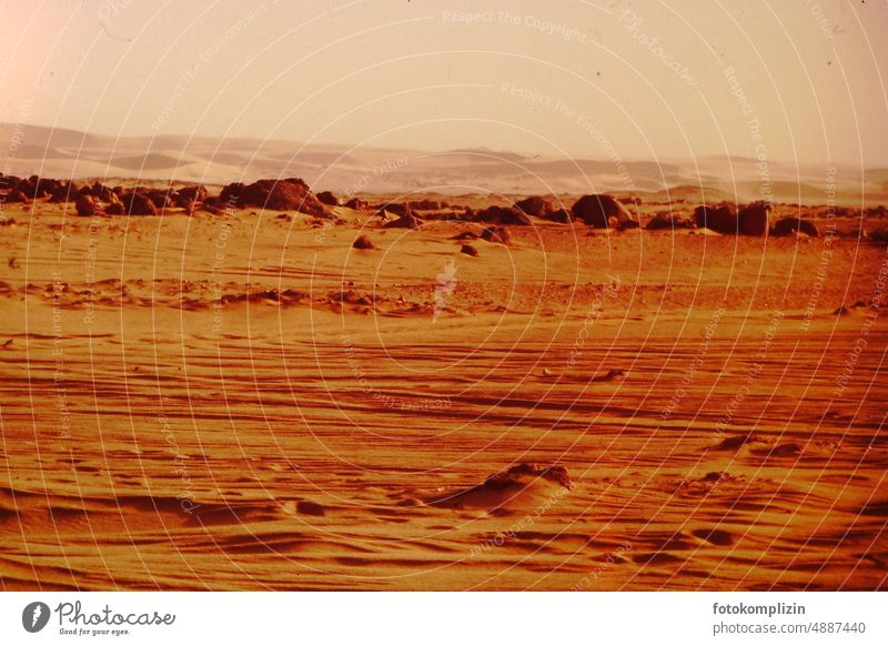 Hitze in der Wüste Sahara wüst Sand Landschaft Spuren Dürre Stille Tod Einsamkeit Trockenheit Ferne Panorama (Aussicht) Expedition Horizont Erde Urelemente