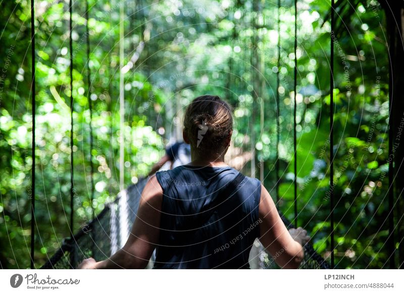 CR XX. Hängebrücke Costa Rica Frau Tourismus Ferien & Urlaub & Reisen wandern Nationalpark Freiheit Ferne Abenteuer Natur Außenaufnahme außergewöhnlich exotisch
