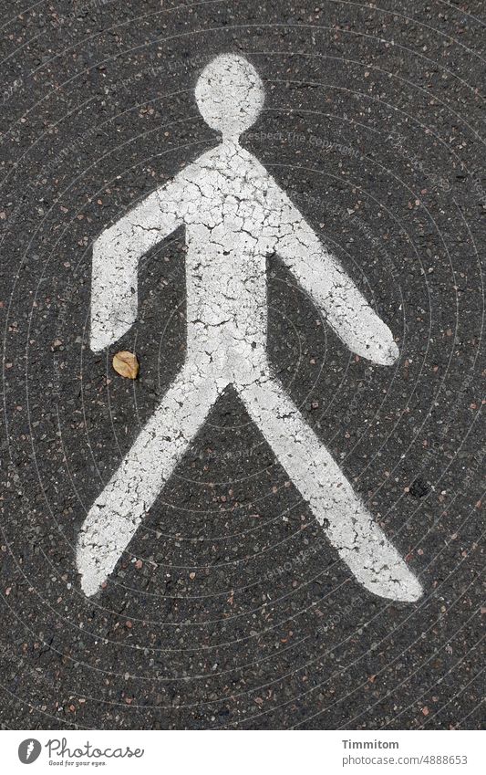 Mit der Herrenhandtasche… Piktogramm Mann Mensch Asphalt Schilder & Markierungen Hinweis Fußgänger Blatt Laub Menschenleer Farbfoto weiß schwarz