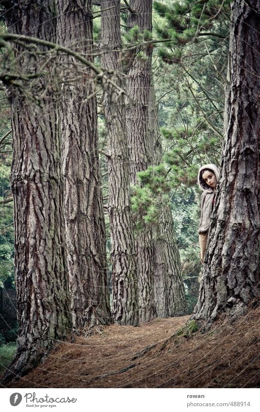 versteckt Mensch feminin Junge Frau Jugendliche Erwachsene Umwelt Landschaft Baum Wald Sicherheit Schutz gefährlich Stress Einsamkeit entdecken unschuldig