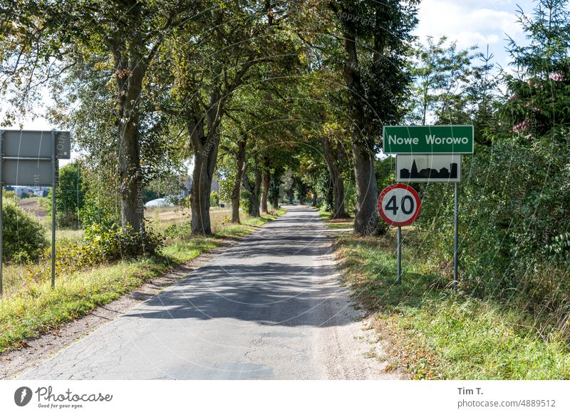 Ortseingang mit Geschwindigkeitsbegrenzung in Polen Allee allein Schild 40 Außenaufnahme Straße Tag Menschenleer Natur Farbfoto Autofahren Schönes Wetter