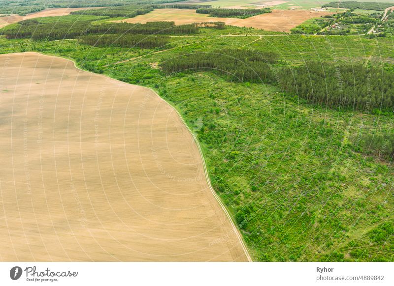 Luftaufnahme von Feld und Abholzung Bereich Zone Landschaft. Draufsicht auf ein Feld und eine grüne Kiefernwaldlandschaft. Groß angelegte industrielle Abholzung zur Ausweitung landwirtschaftlicher Flächen