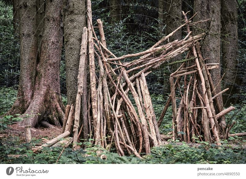 ist das kunst oder kann das weg? | gut aufgestellt! Wald Holz Holzstämme Urzeit Kunst Tor Natur Baum Umwelt natürlich Baumstamm Landschaft Forstwirtschaft