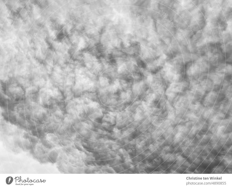 Dichte (Schäfchen) - Wolken am Himmel Wolkendecke Wolkenhimmel Wolkenformation Schäfchenwolken Wolkenfeld monochrom Wolkenwand Hintergrundbild Umwelt Wetter
