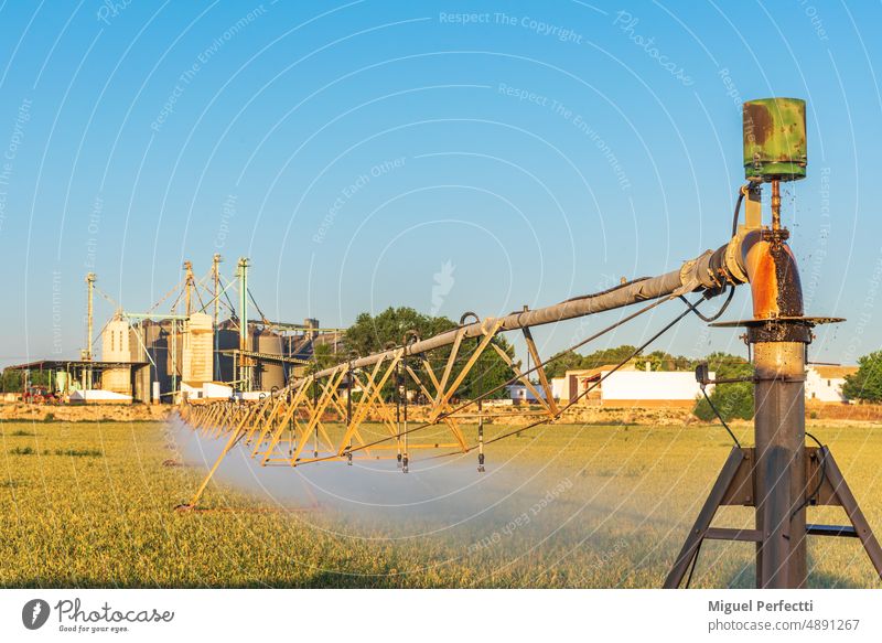 Zentrales Pivot-Bewässerungssystem, Bewässerungsrohre mit Sprinklern auf Rädern, die sich um eine zentrale Achse drehen. Bodensilos zur Lagerung von Getreide.