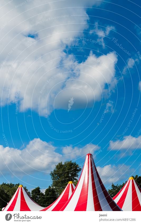 Vier Türmchen Zirkus Zirkuszelt Spitze Zelt 4 vier Himmel blau Wolken Schönes Wetter Jahrmarkt gestreift mehrere nebeneinander besonders Show Veranstaltung