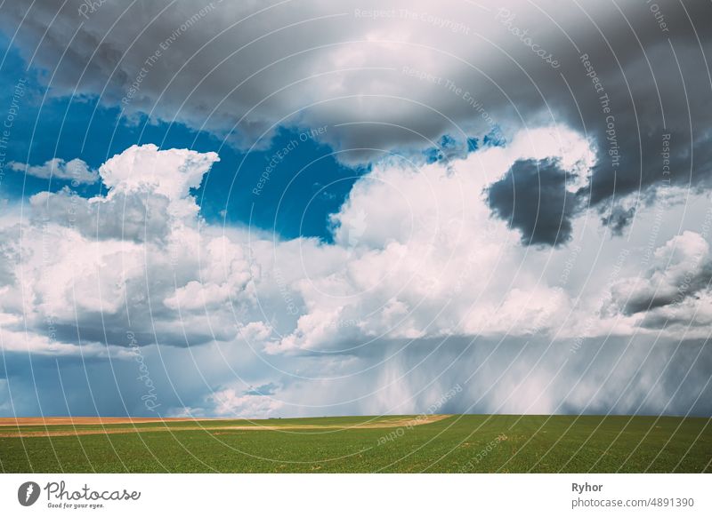 Landschaft Ländliche Feld Wiese Landschaft in sonnigen regnerischen Frühlingstag. Scenic Sky With Rain Clouds On Horizon. Landwirtschaft und Wettervorhersage Konzept