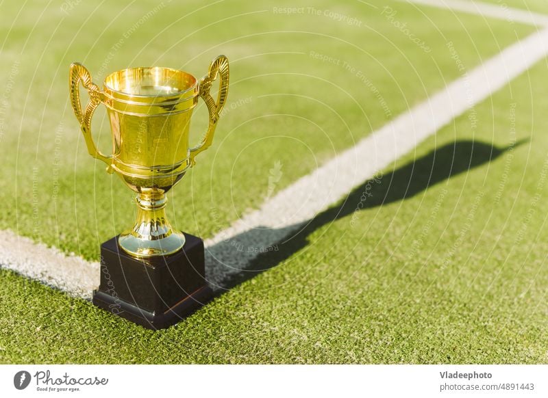 Goldener Pokal für den Sieger des Wettbewerbs auf dem Rasen des Tennisplatzes Tasse golden Eckstoß Linie Feld Sport Spiel spielen stehen Kelch Konkurrenz