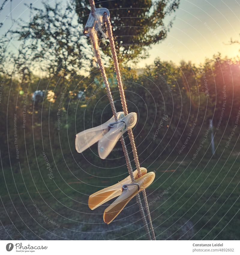 Zwei Wäscheklammern an Zeltleine von der Morgensonne beleuchtet waschen Sommer Alltagsfotografie hängen aufhängen umweltfreundlich trocknen Leine Campingplatz