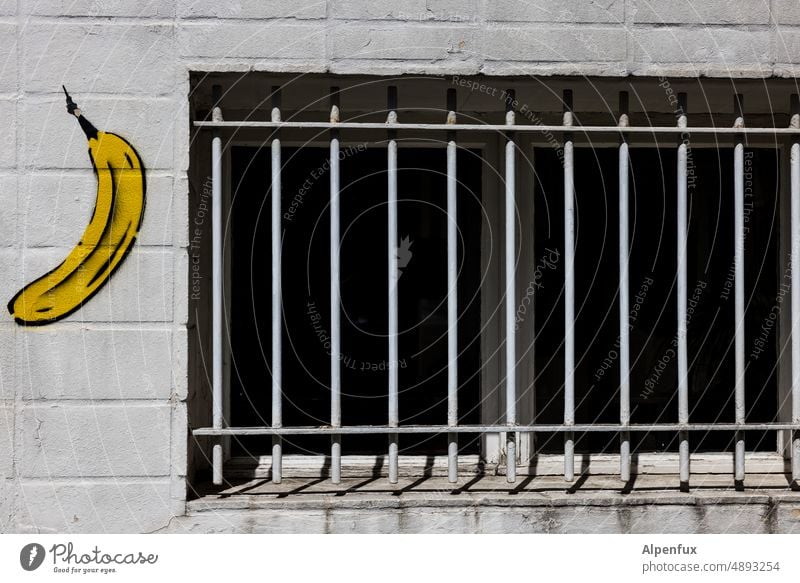 Affenkäfig Gitter Fenster Banane eingesperrt Menschenleer Schutz Gitterstäbe Farbfoto gefangen Quarantäne schutz Metall Barriere Gefängnis Freiheit Absperrung