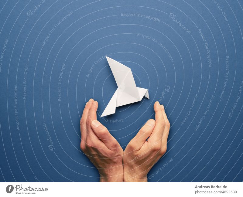 Hände, die eine Origami-Friedenstaube schützen Schutz behüten Freiheit Sicherheit blau Taube Business Farbe Transformation Kranich Konkurrenz Konzept kreativ