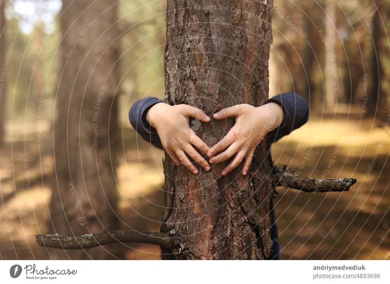 Kind umarmt einen Baum im Wald. Konzept der globalen Problem des Kohlendioxids und der globalen Erwärmung.Child's Hände machen eine Herzform auf einem Baumstamm. Liebe zur Natur. Hände um den Stamm eines Baumes.