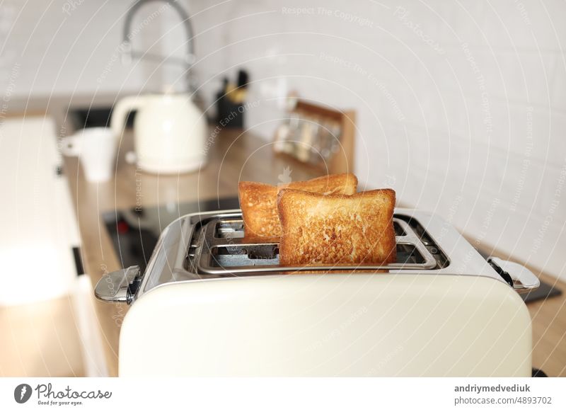 getoastetes Brot in weißem Toaster, geröstetes Sandwich Toast, Konzept der gesunden Ernährung, Diät, Snacking bei der Arbeit, in der Schule, Student Fast Food. Moderne weiße Toaster.