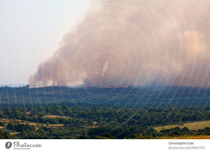 Waldbrand in Brasparts in den Monts d'Arrée keine Menschen Fotografie Landschaft Rauchwolke Naturkatastrophe Finistere Feuer Bretagne