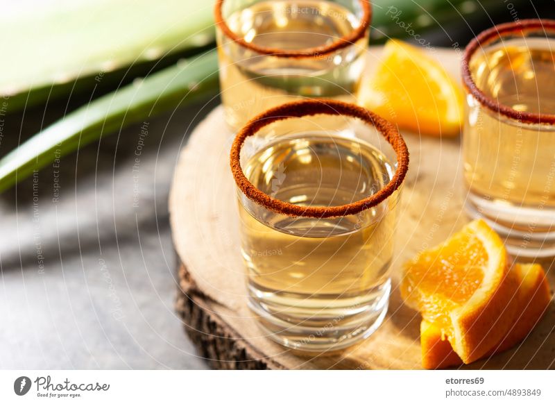 Mexikanisches Mezcal-Getränk mit Orangenscheiben und Wurmsalz Oaxaca Agave Alkohol Hintergrund trinken Glas Saft mexikanisch mischen orange Scheibe Tisch