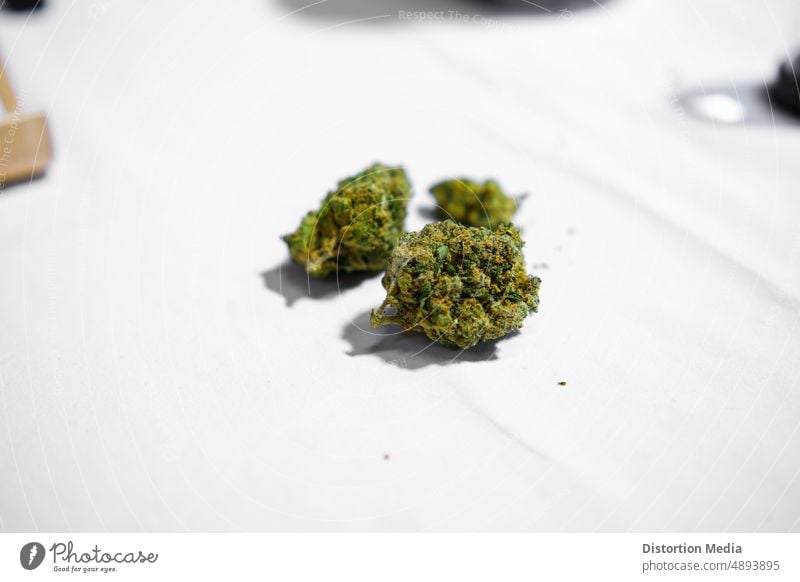 Einige Marihuana-Knospen THC-frei auf weißem Hintergrund Topfkopf Cannabis-Knospe psychische Gesundheit verschreibungspflichtige Medikamente legalisiert indica