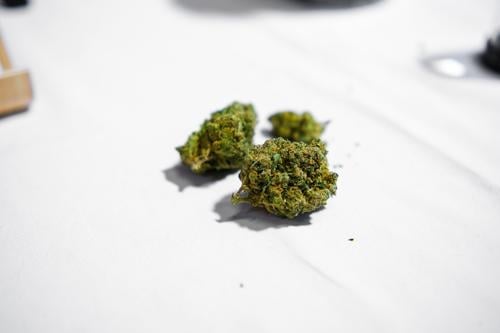 Einige Marihuana-Knospen THC-frei auf weißem Hintergrund Topfkopf Cannabis-Knospe psychische Gesundheit verschreibungspflichtige Medikamente legalisiert indica