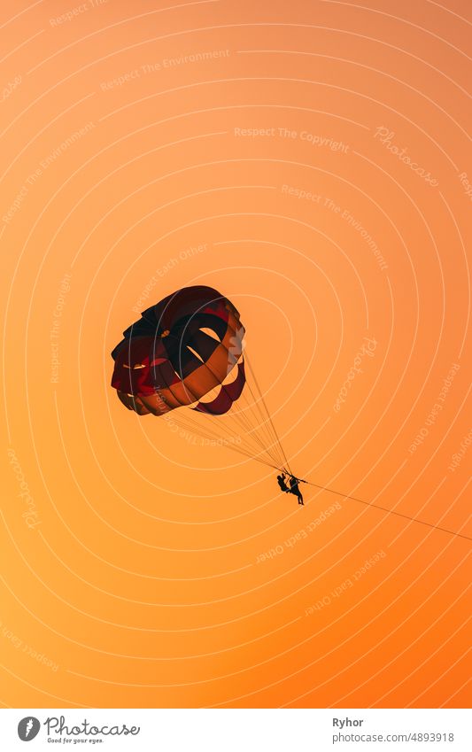 Parasailers Flying On Colorful Parachute In Sunset Sunrise Sky. Aktives Hobby aktiv Aktivität Abenteuer Air schön hell übersichtlich Farbe Textfreiraum Gefahr