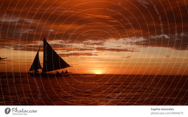 Segelboot bei Sonnenuntergang MEER Wasser Meer