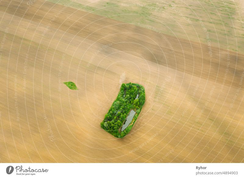 Kleine grüne Naturinsel mit grünem Gras, Wald und kleinem Teich im Frühling leere ländliche Feldlandschaft. Landwirtschaftliches Feld. Luftaufnahme Antenne