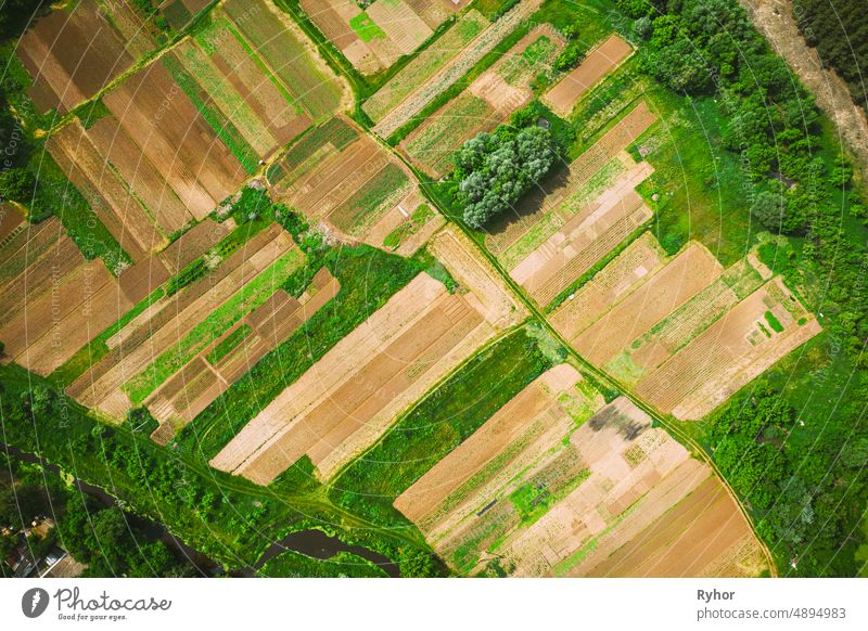 Luftaufnahme eines Gemüsegartens. Kartoffelplantage am Sommertag. Dorf Garten Betten Antenne landwirtschaftlich Ackerbau schön Landschaft erhöhte Ansicht Europa