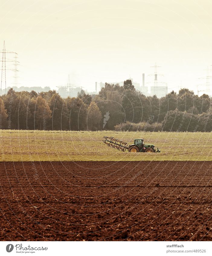 Land Wirtschaft Umwelt Landschaft Erde Himmel Herbst Klimawandel Feld Wald Menschenleer Traktor Sand Arbeit & Erwerbstätigkeit dreckig braun Horizont