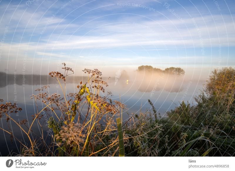 UT Teufelsmoor I Frühnebel über dem Moor Sonnenaufgang Nebel Menschenleer Osterholz-Scharmbeck Morgendämmerung Sonnenlicht Landschaft Natur
