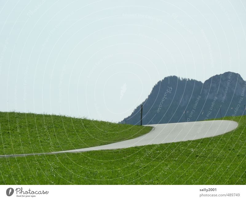 mit Schwung ins Gebirge Natur Landschaft Gras Wiese Alpen Berge u. Gebirge Straße Pass Serpentinen fahren grau grün Einsamkeit Wege & Pfade Kurve Kurvenlage