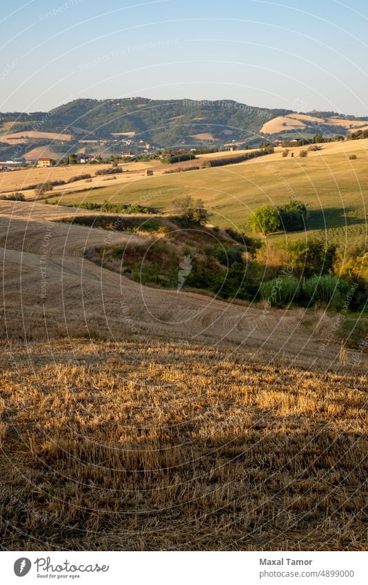 Blick auf die Felder bei Tavullia am Morgen nach Sonnenaufgang, Marken, Italien Marche Ackerbau schön Schönheit blau Wolken Land Landschaft Morgendämmerung Tag