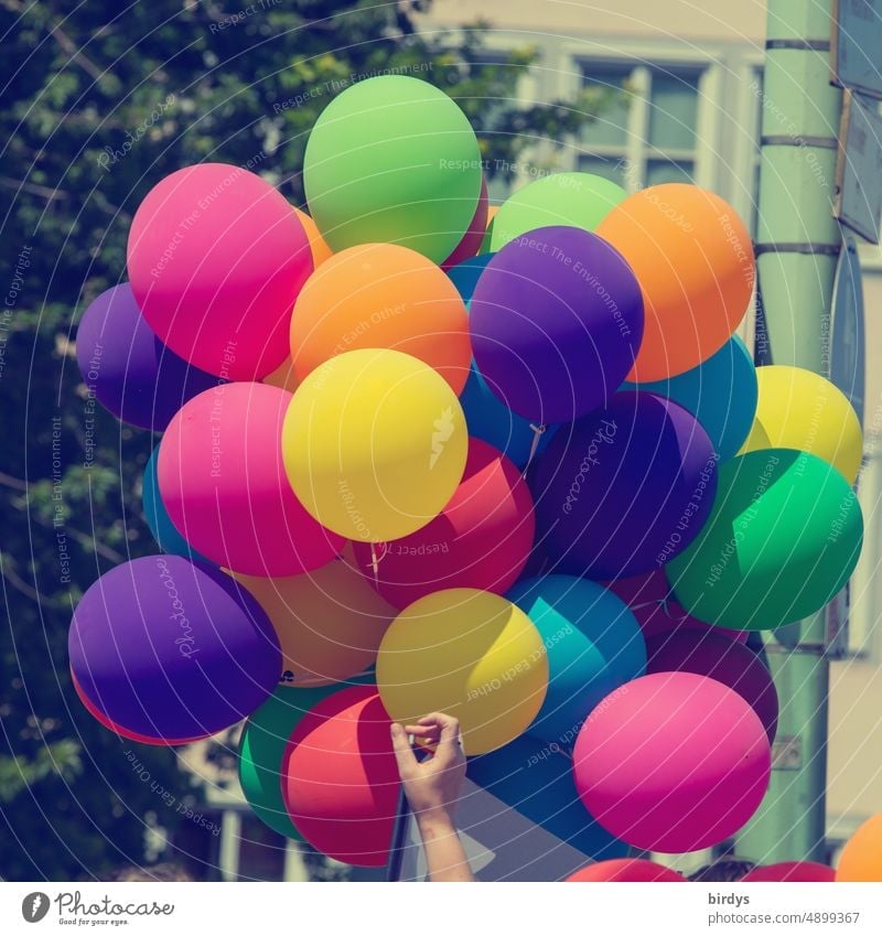 viele bunte Luftballons und eine Hand. Farbenfrohe Leichtigkeit mehrfarbig Lebensfreude Fröhlichkeit farbenfroh Sommer formatfüllend Farbigkeit Bündel
