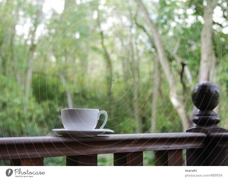 it´s teatime Getränk trinken Heißgetränk Kaffee Tee Gefühle Tasse Urwald Erholung Teetrinken Wald Natur Pause genießen Veranda Farbfoto Außenaufnahme Tag