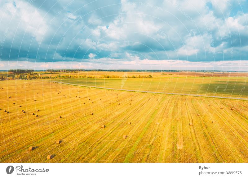 Luftaufnahme von Herbst Heu Rollen Stroh Feld Landschaft. Heuhaufen, Heurollen. Erntesaison trocknen Antenne landwirtschaftlich Ackerbau Hintergrund Ballen