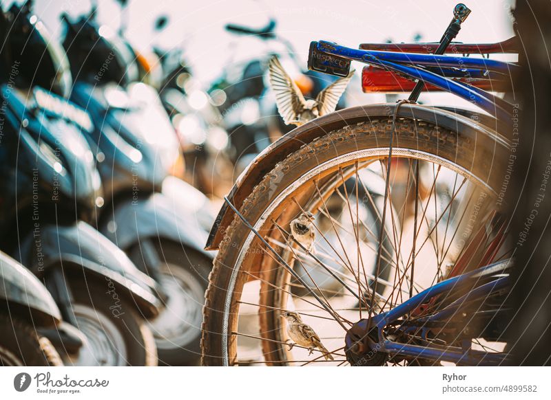 Goa, Indien. Close Up von Fahrrad Rad des Fahrrads auf der Straße aktiver Lebensstil Großstadt Stadtrad schließen Zyklus Detailaufnahme berühmt Gesundheit