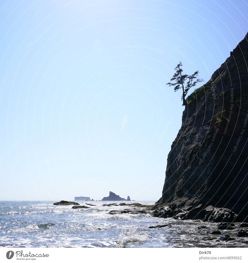 Einsamer Baum auf einer Steilküste am Rialto Beach, Olympic Peninsula, Washington State, USA Insel Meer Meereslandschaft Ozean einsame Insel einsamer Baum