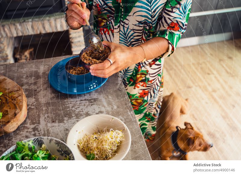 Frau legt Quinoa in einen Salatring Salatbeilage Ring Koch Küche Veganer Mittagessen heimwärts Schimmelpilze Diät Bestandteil Ornament Hemd organisch Rezept