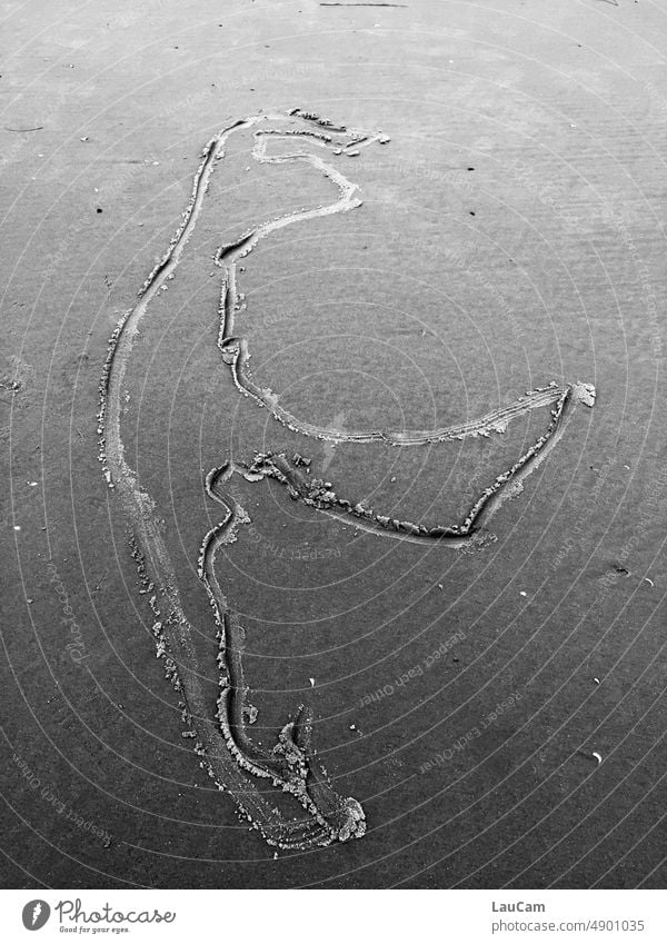 Sylt im Sand Insel Umriss Ferien & Urlaub & Reisen Nordsee Strand Zeichnung zeichnen Menschenleer Küste Erholung Bild Skizze