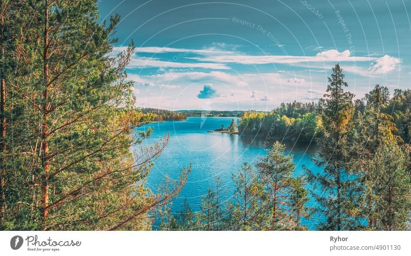 Schwedische Natur. Schweden. Sommer See oder Fluss in schönen Sommer sonnigen Tag. Wald Wachsen auf Stein Küste Windstille Europa Landschaft niemand im Freien