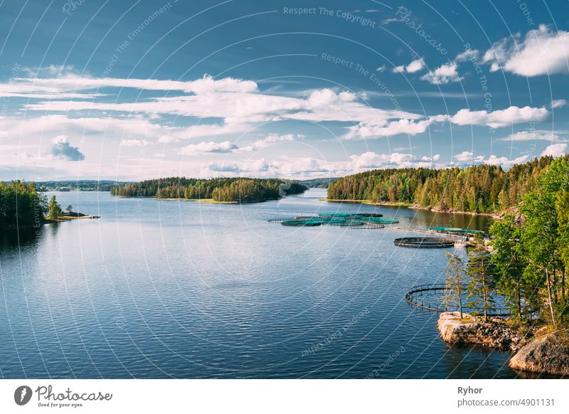 Fischerei, Fischzucht im Sommer See oder Fluss in schönen Sommer sonnigen Tag. Schwedische Natur, Schweden Tocksfors Ackerbau Aquakultur aquatisch Bucht